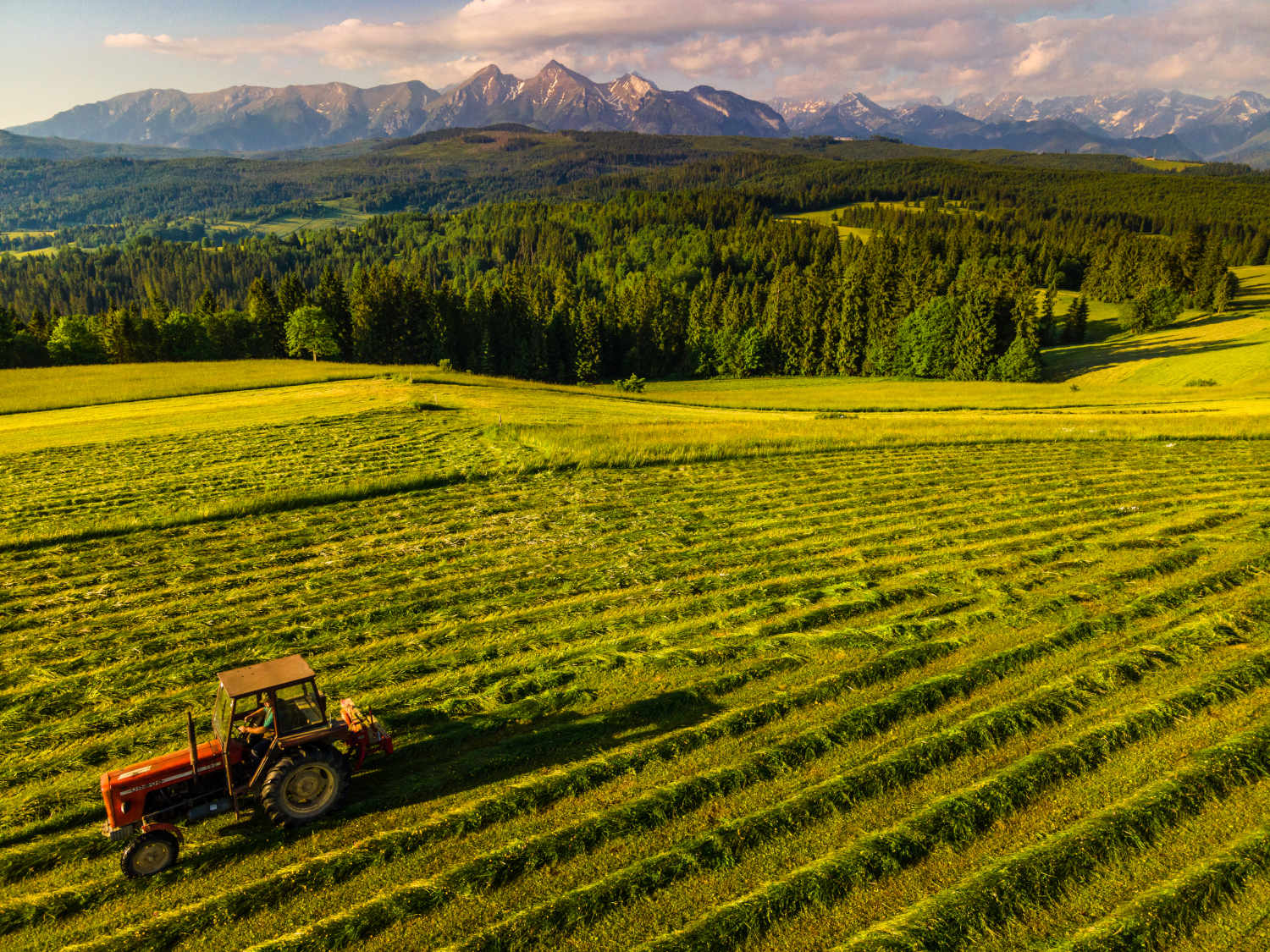 Landiwrdschaft Bild